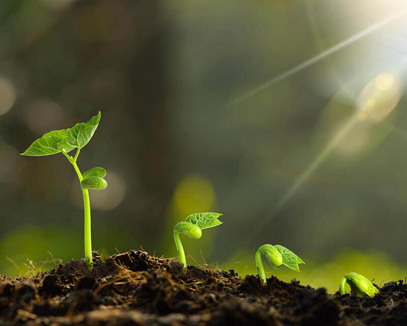 环评、环保验收、环保管家服务