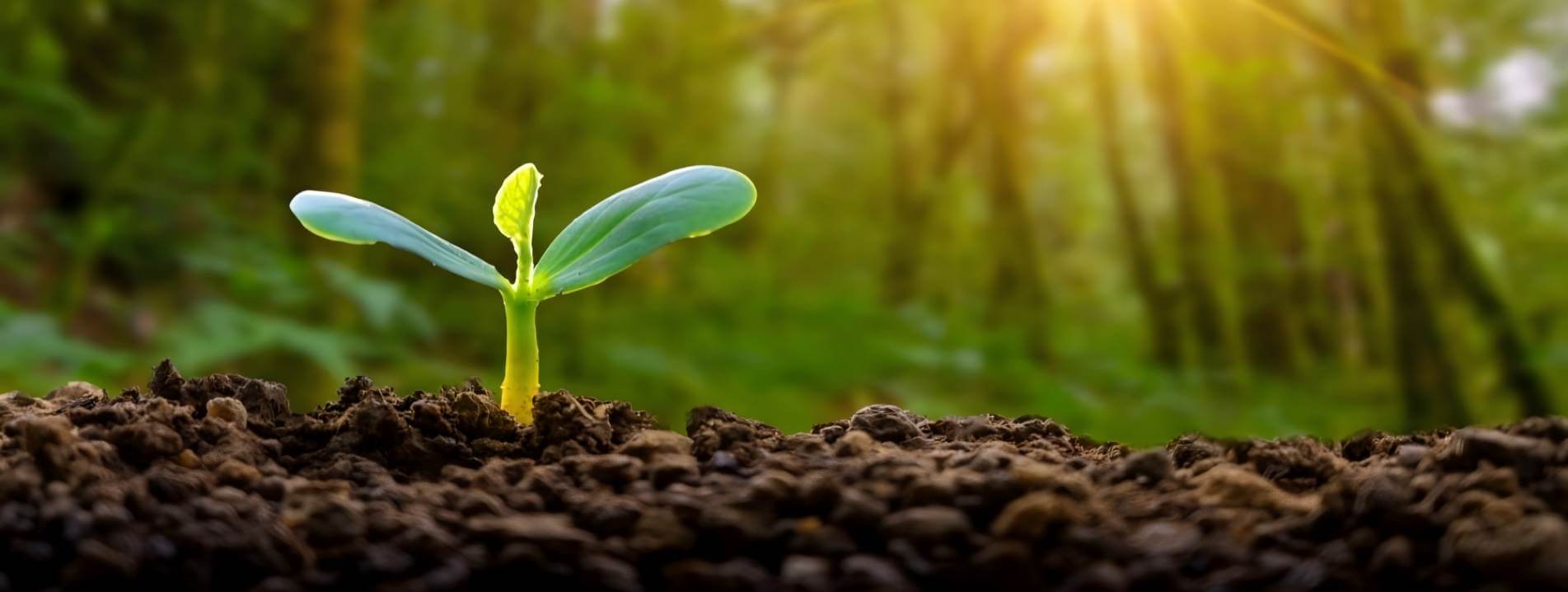 持续企业发展　超越客户期望