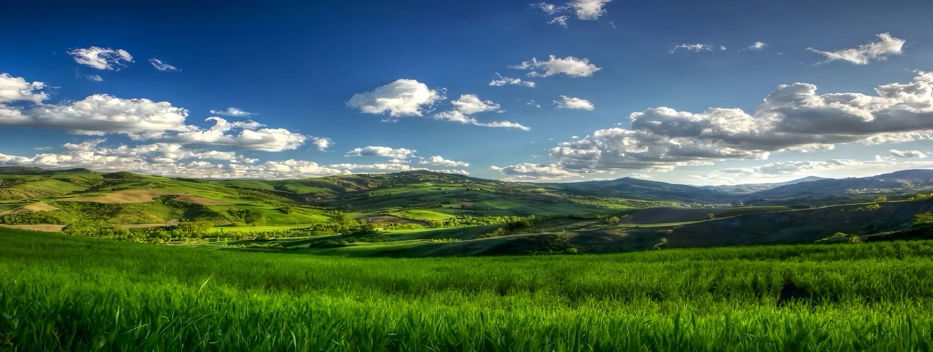 回首往事 展望未来